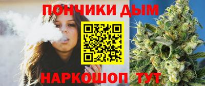 шишки Коммунар