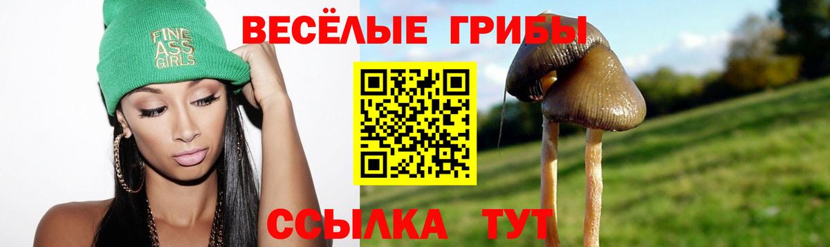 где можно купить наркотик  Вход с VPN  Топки  Галлюциногенные грибы Psilocybe 
